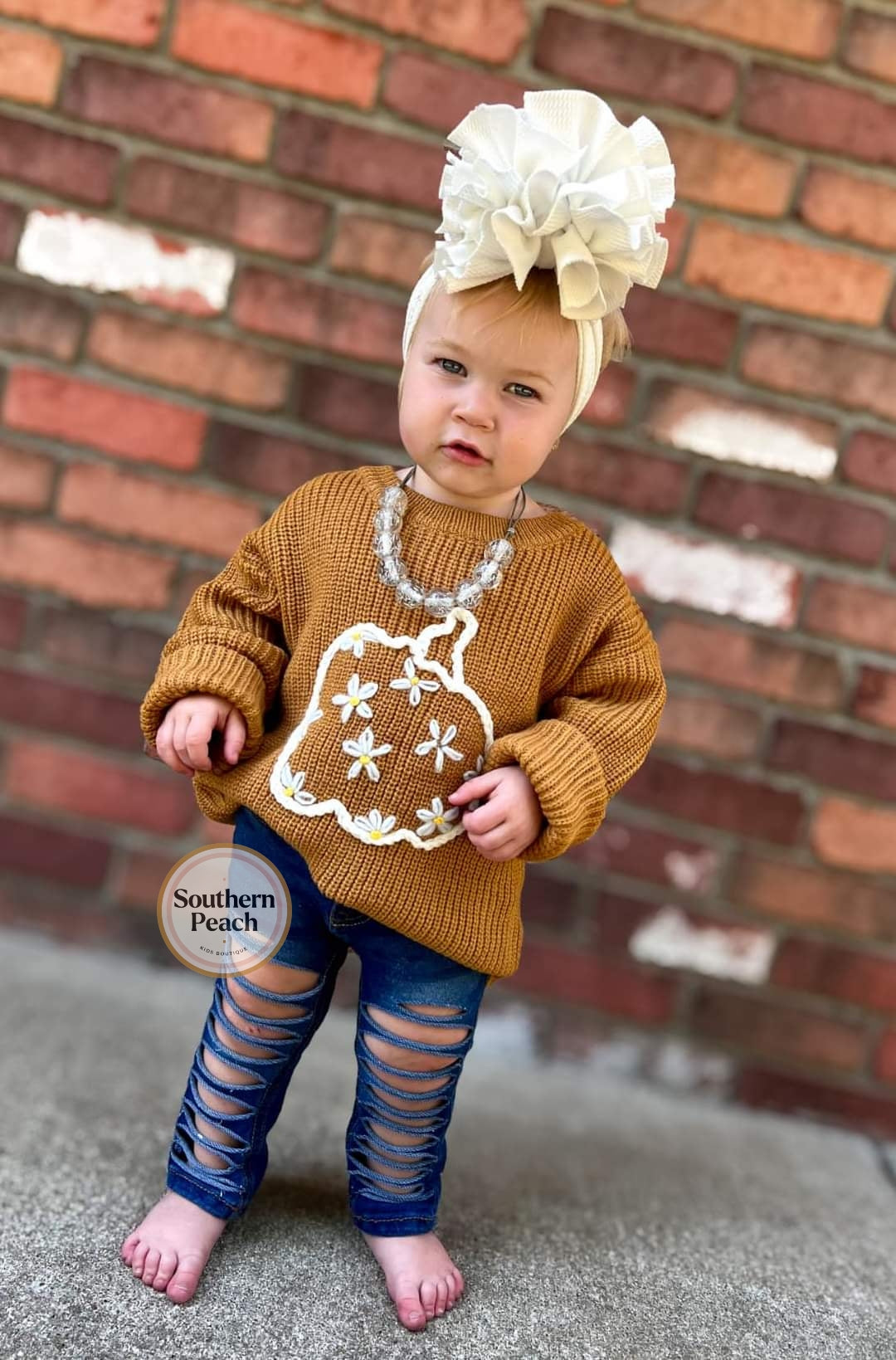 Pumpkin & Daisy Sweater